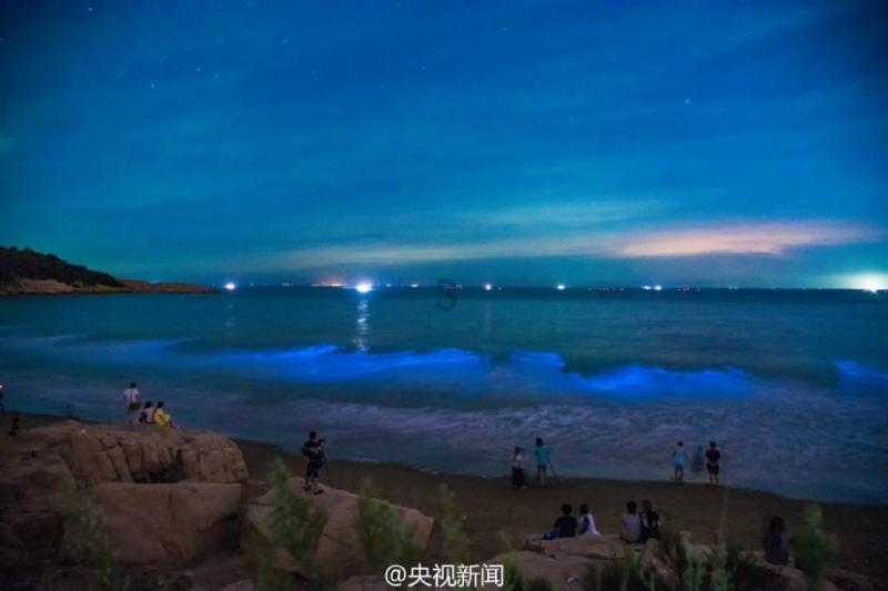 大S与汪小菲事件再起风波,背后是一场精密布局的“情感杀猪盘”
