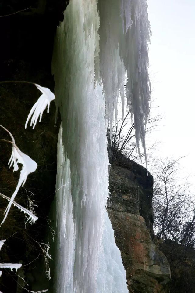 雪公园森林逃生