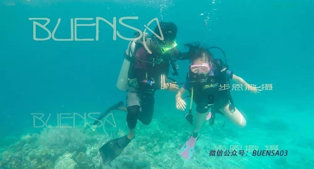 芭比的时尚新娘装