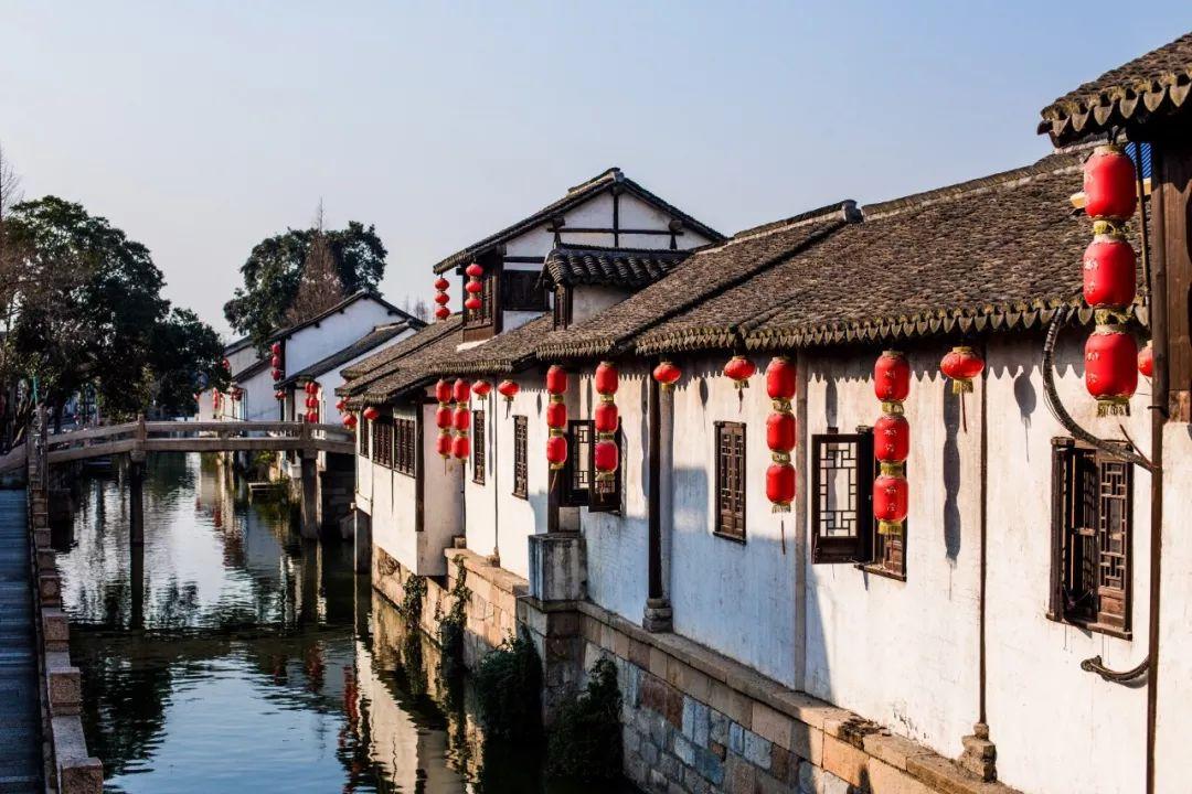 动物帮帮忙保卫家园