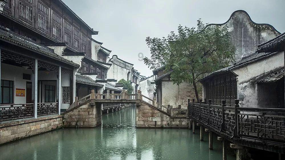 植物大战僵尸4